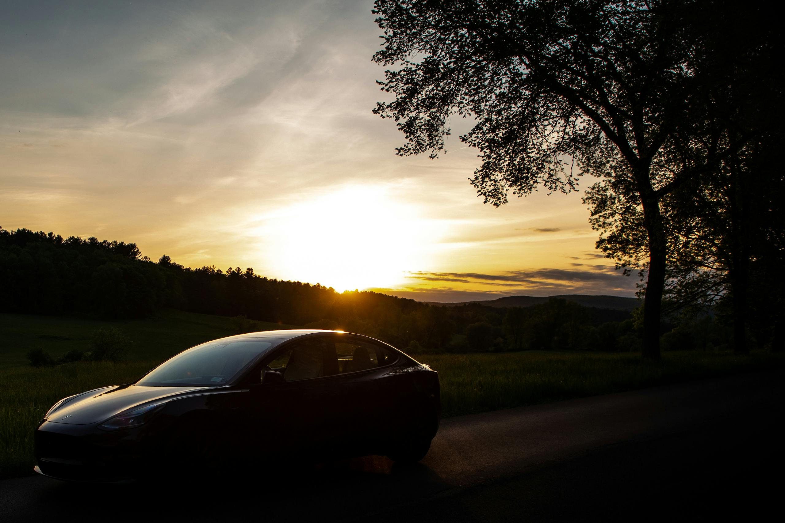 2021 Tesla Model 3 Performance silhouette