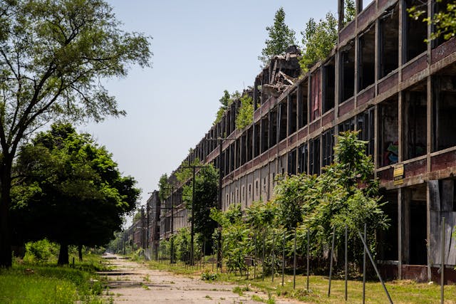 Packard plants today