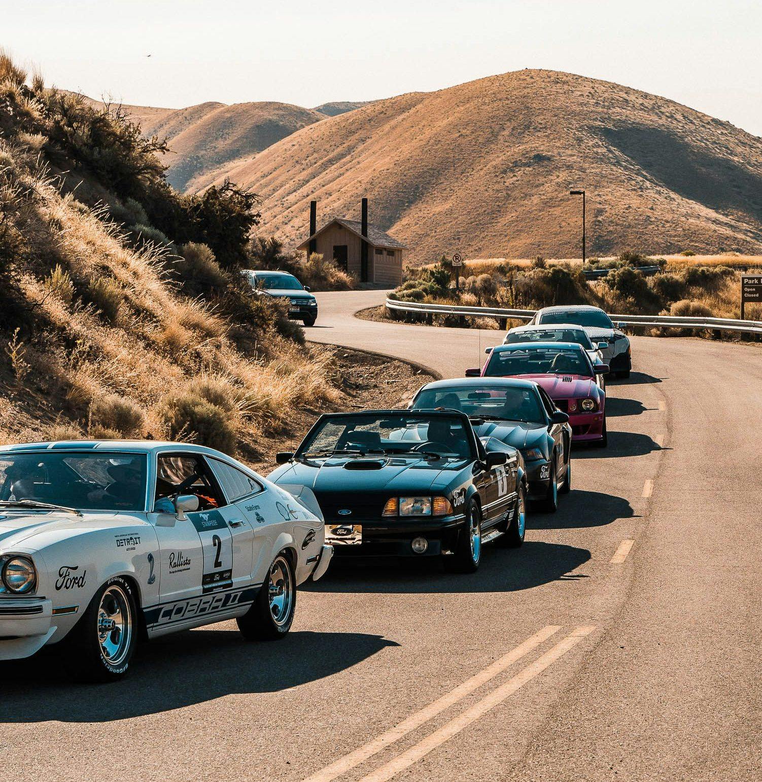 Line of Mustangs going to Mustang reveal event