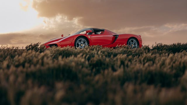 Ferrari Enzo sunrise grasses