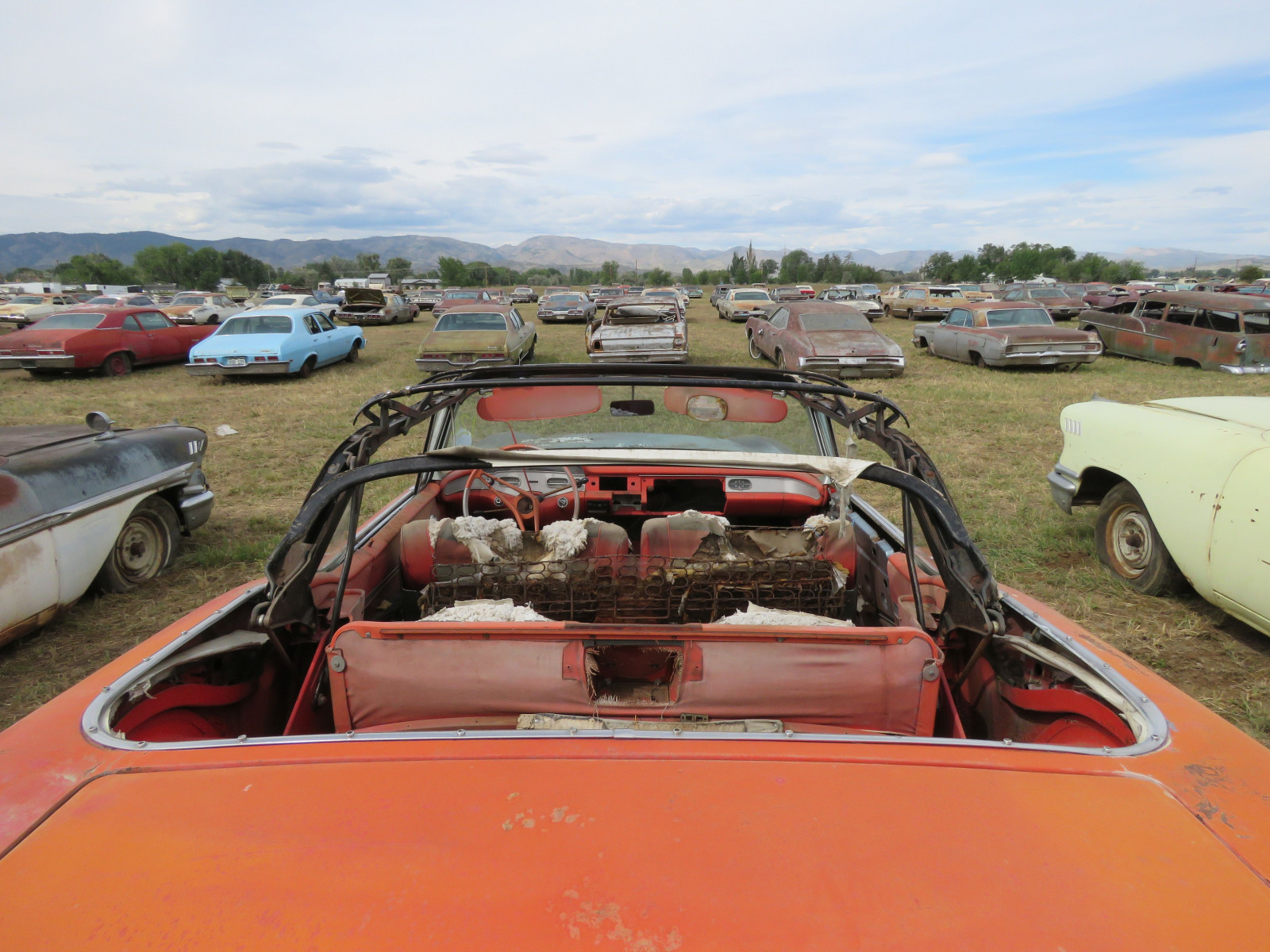 car hordes in Colorado and South Dakota