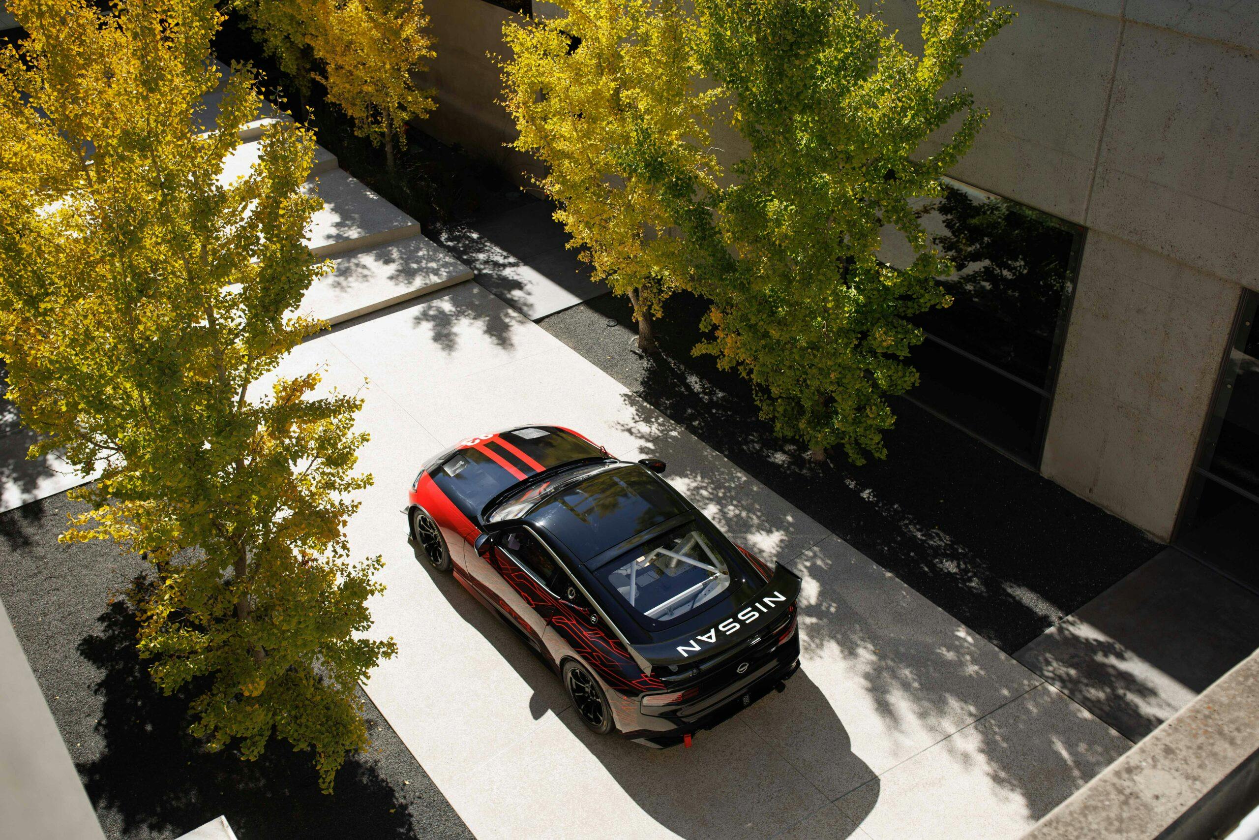 Nissan Z GT4 roof