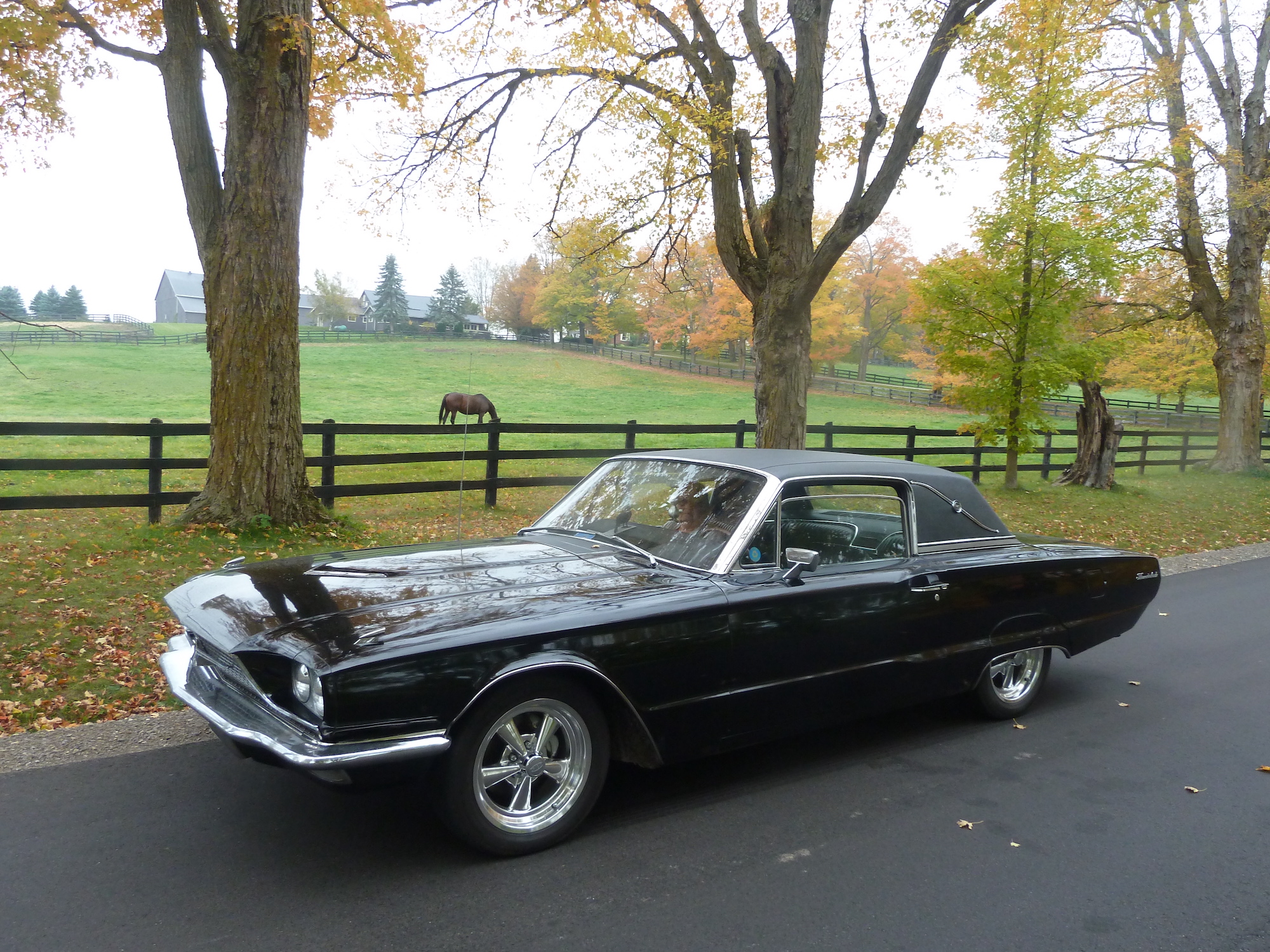 Rescuing A 1966 Ford Thunderbird Has Been A Pleasant Surprise - Hagerty ...