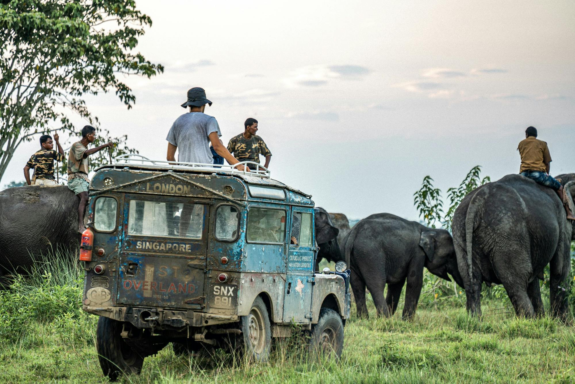 Bescoby Overland Expedition Kaziranga National Park among elephants