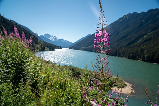 Bronco Airstream Alaska Road Trip wildflowers along lake