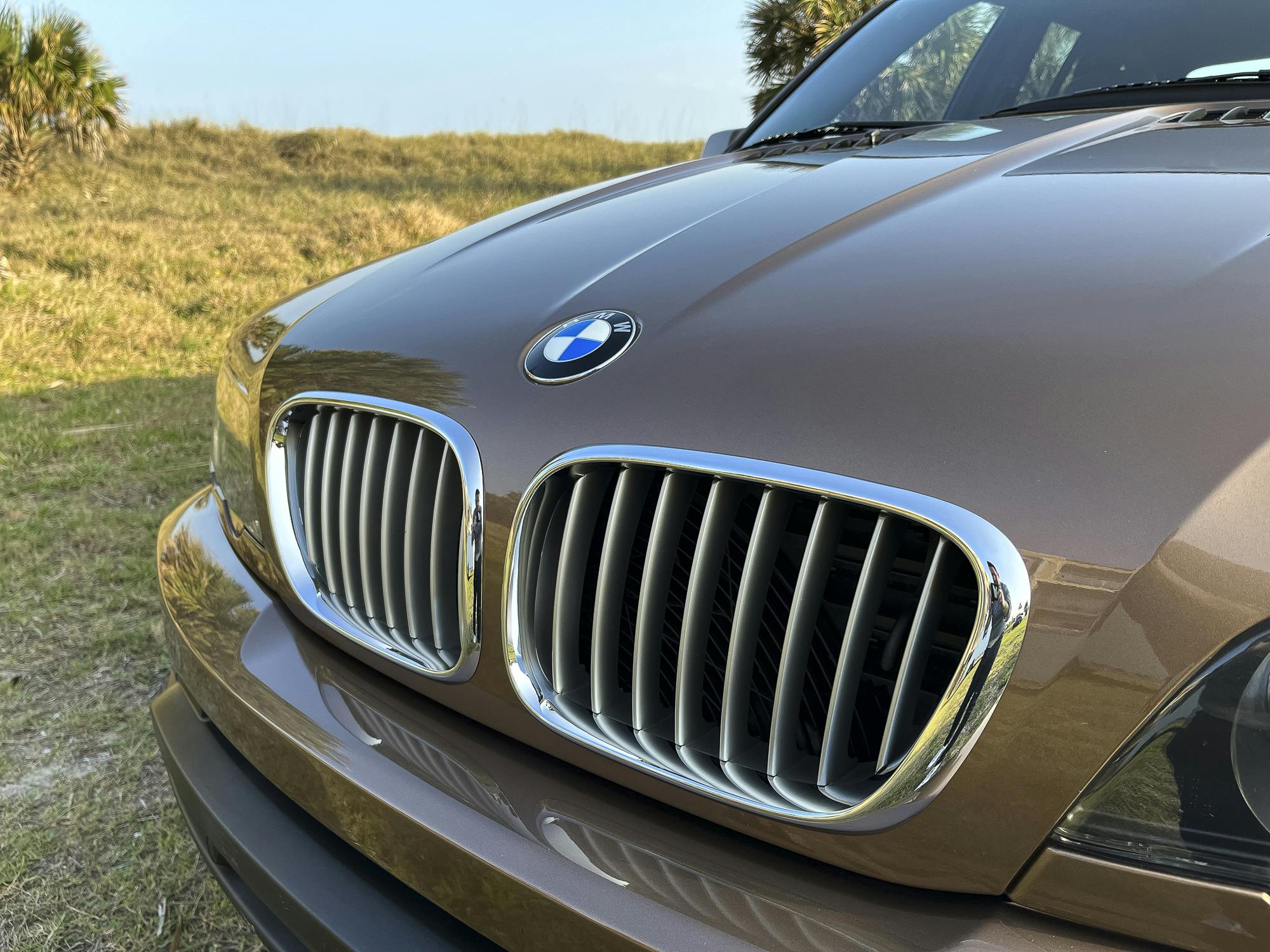 bmw x5 neiman marcus edition grille