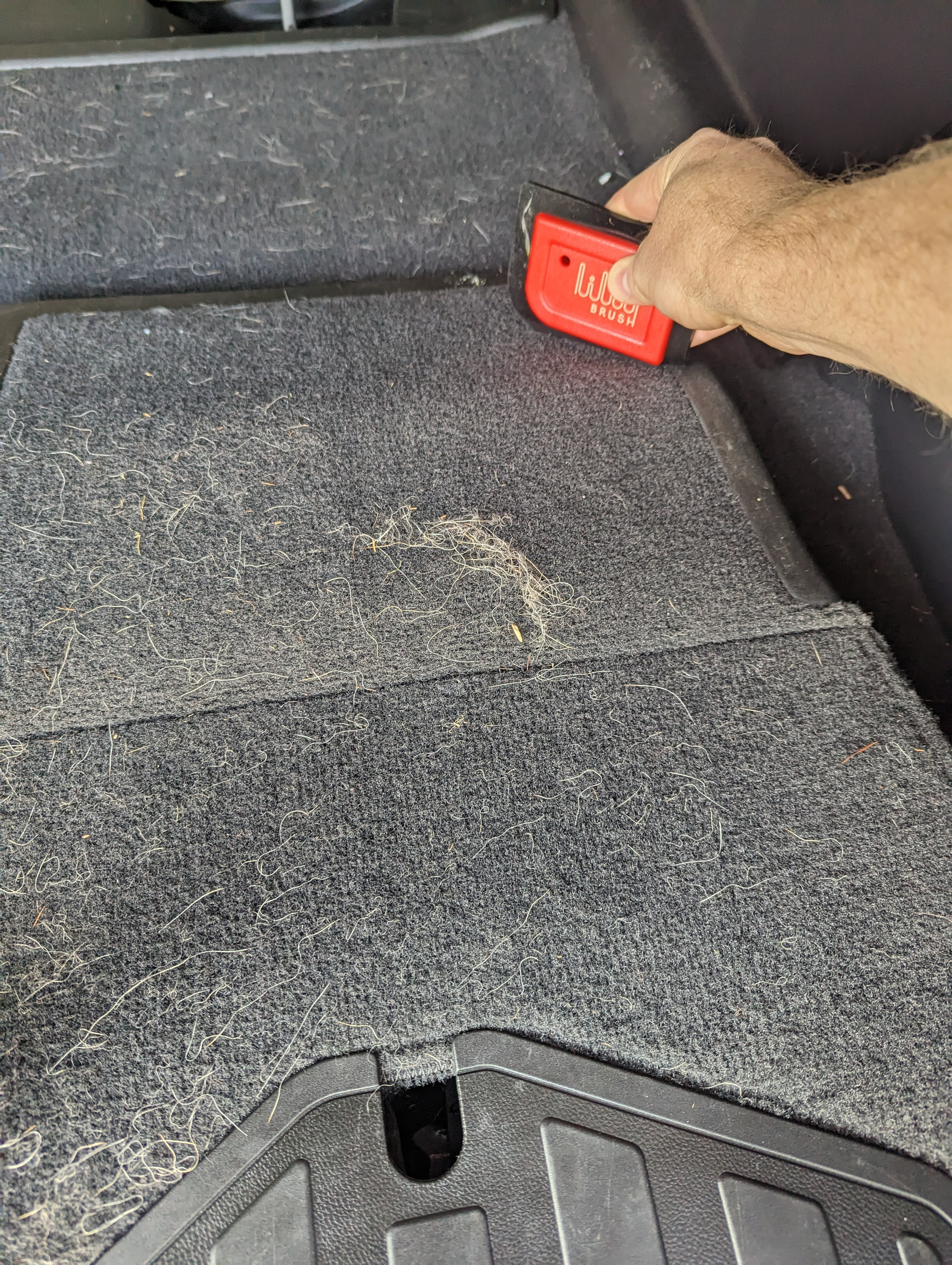 Best car floor mats outlet for dog hair