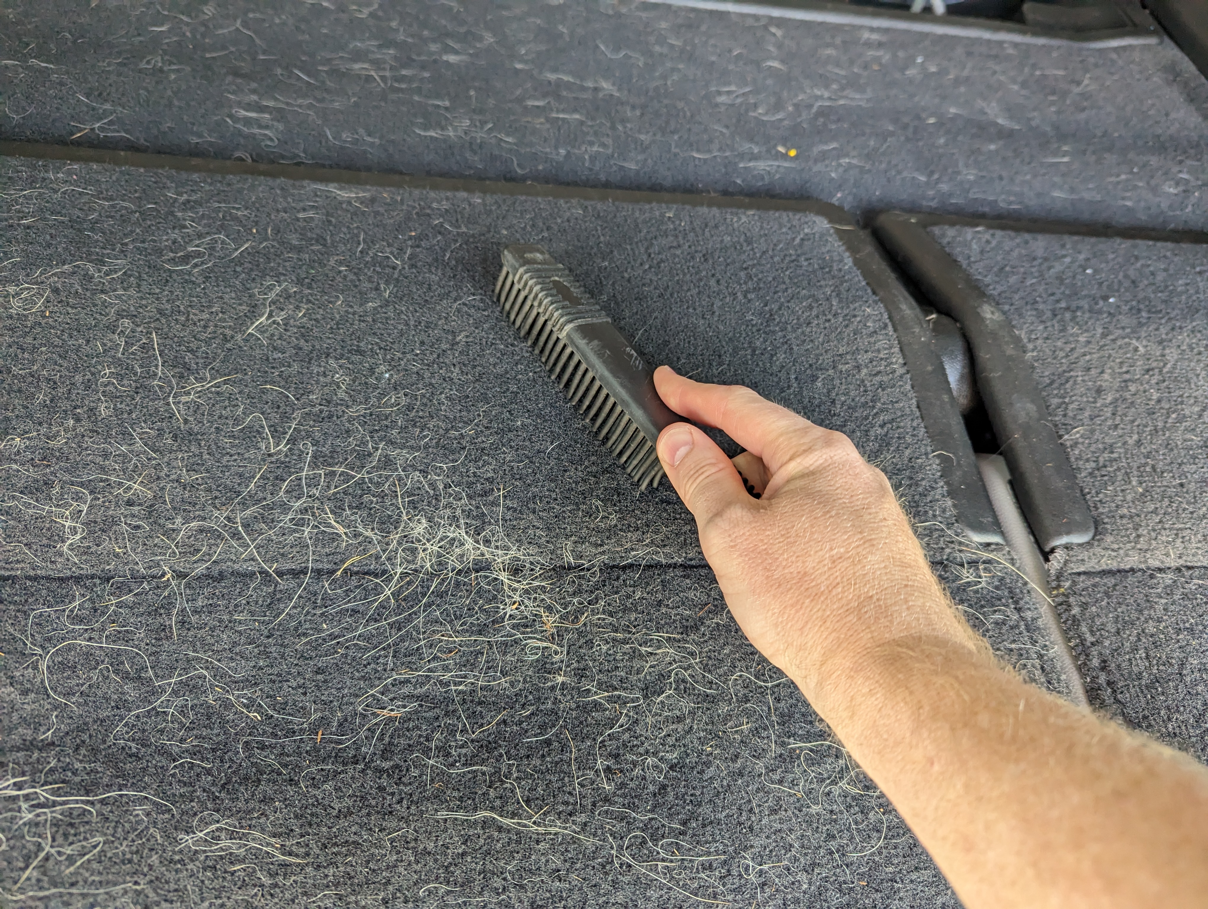 Best way to clean dog hair from top car