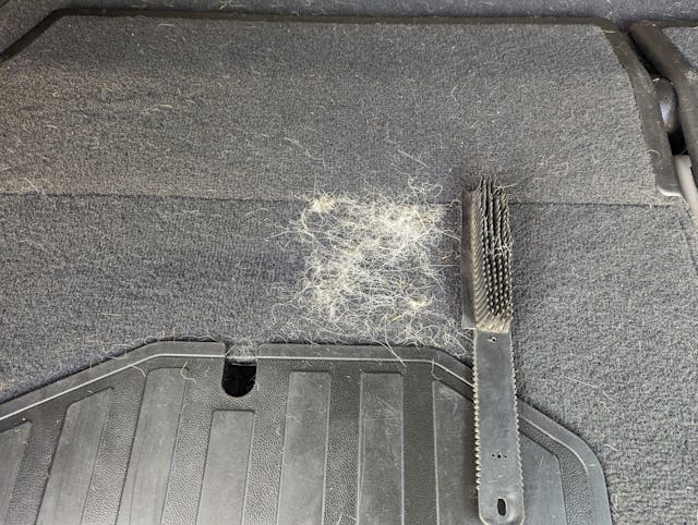 how to remove pet hair from car detailing