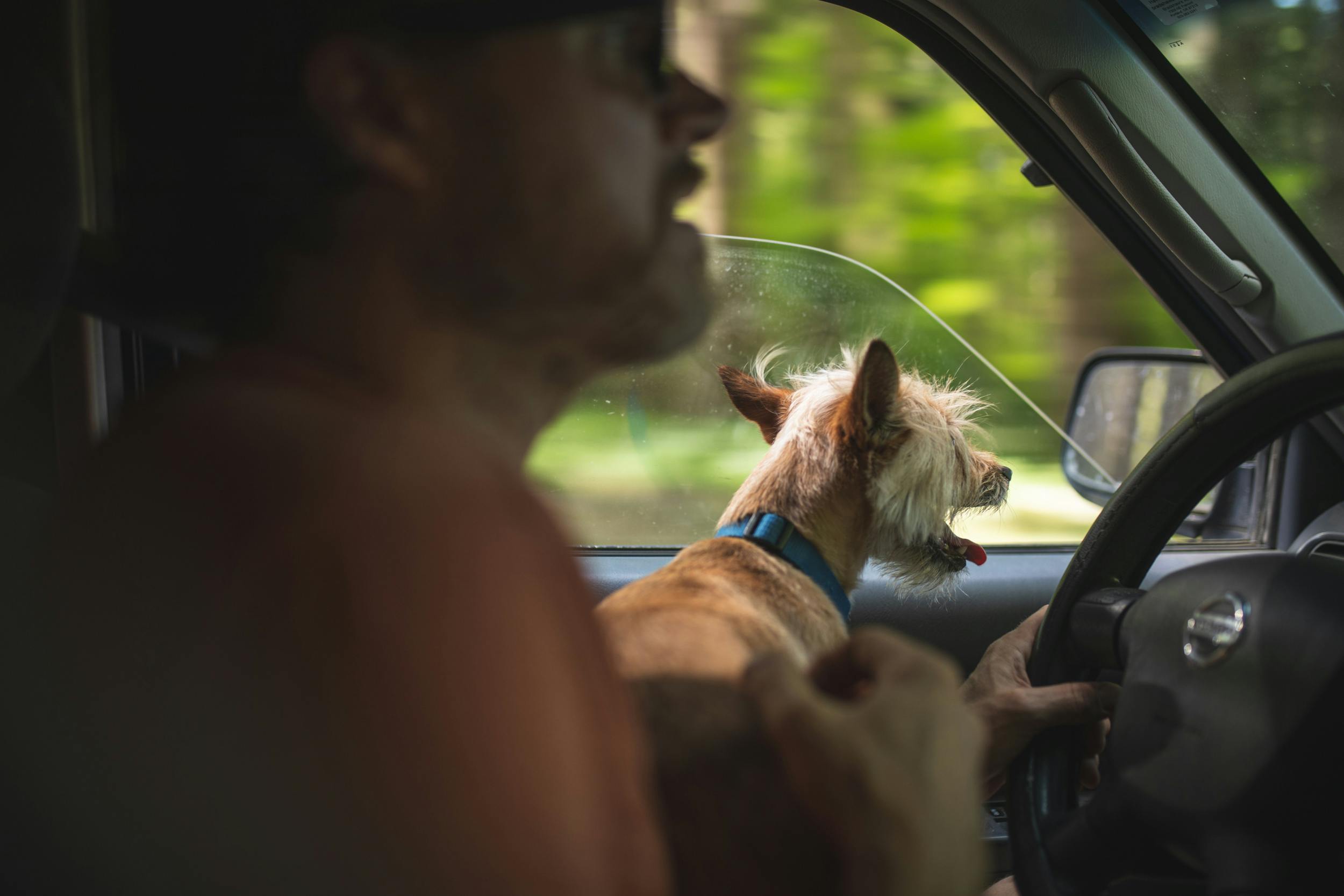 WABDR Nissan Xterra off-road adventure bowie the dog