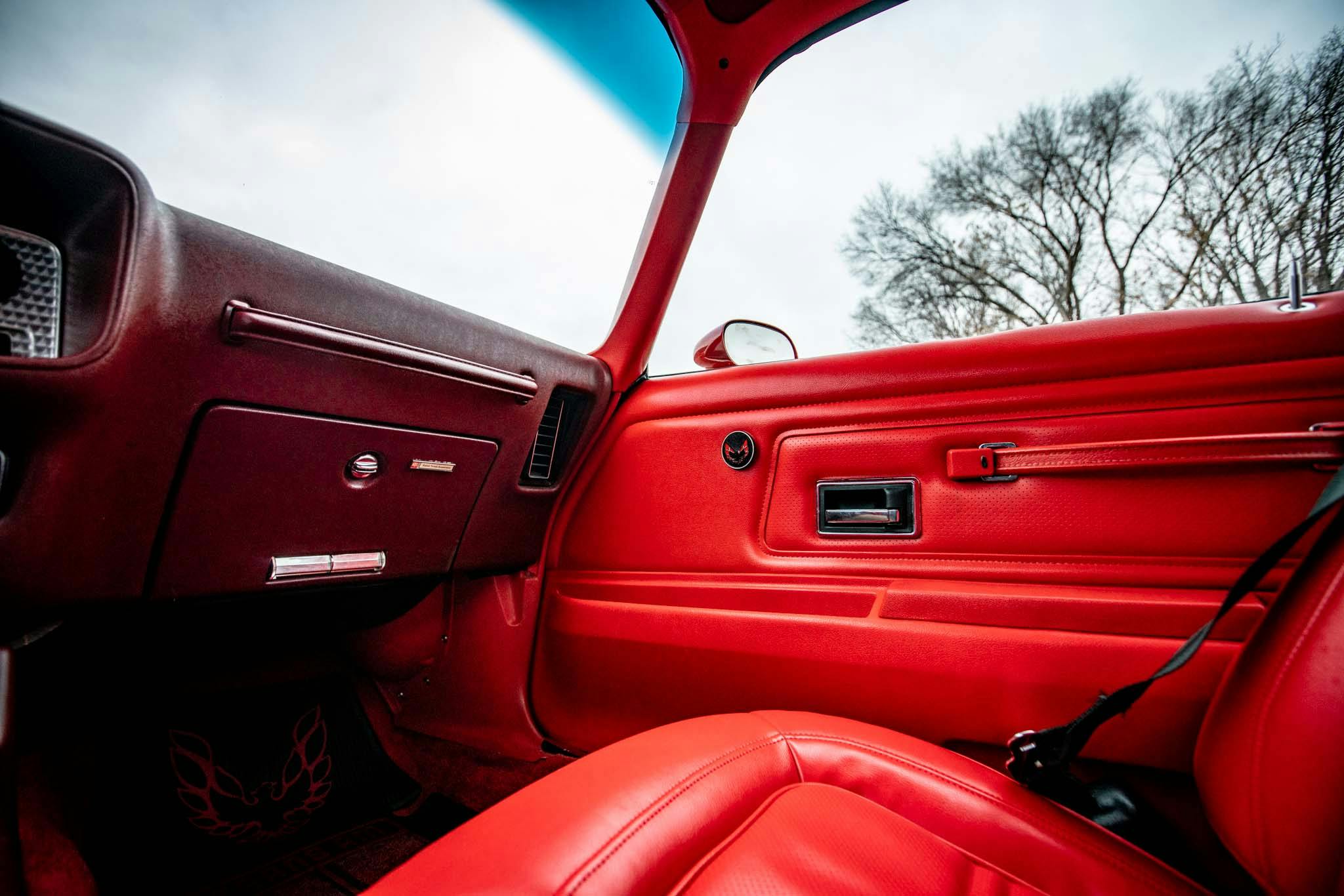 1974 Pontiac Firebird Trans Am Super Duty 455 interior door panel
