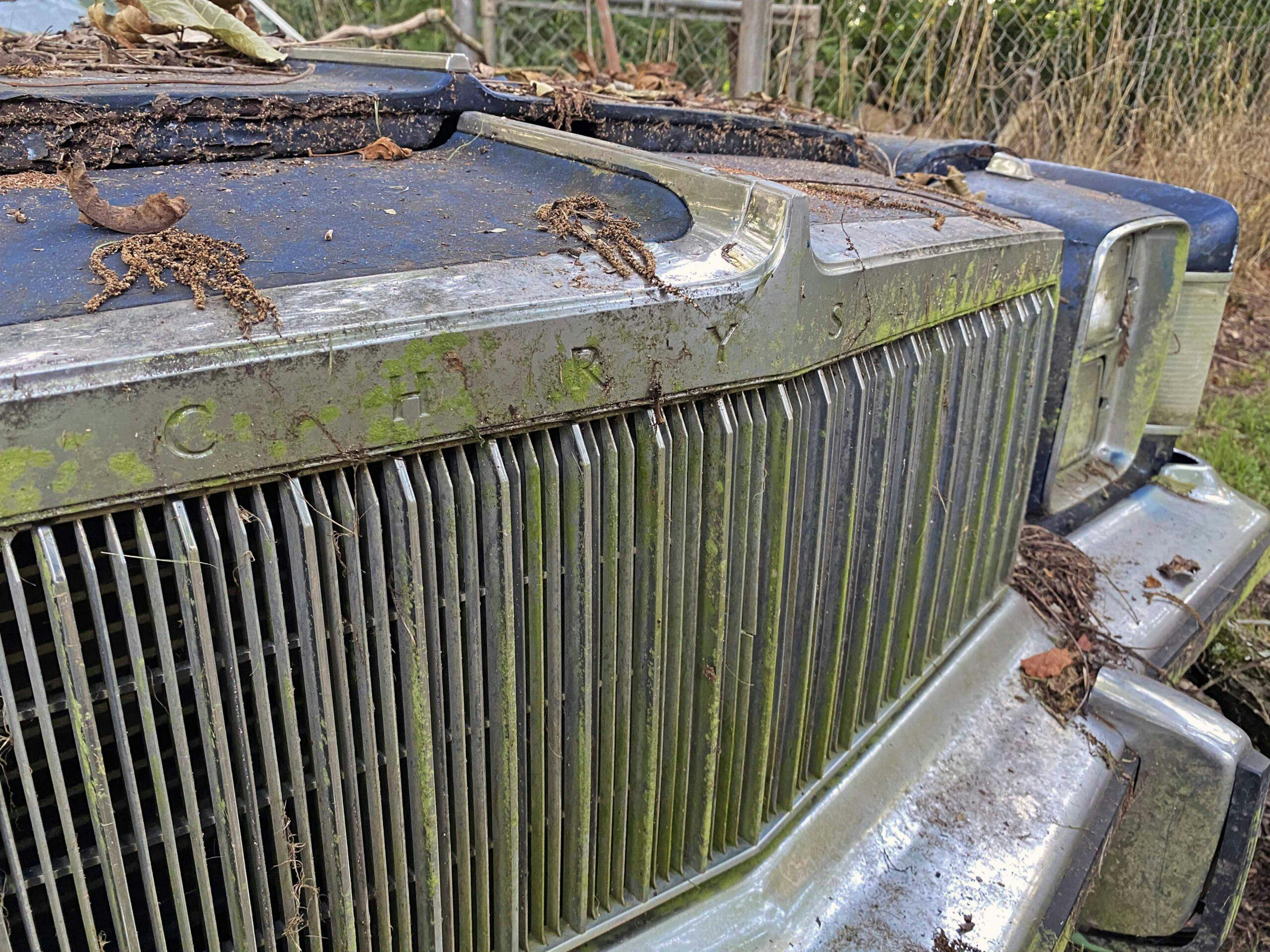 Chrysler Cordoba grille junkyard moss detail