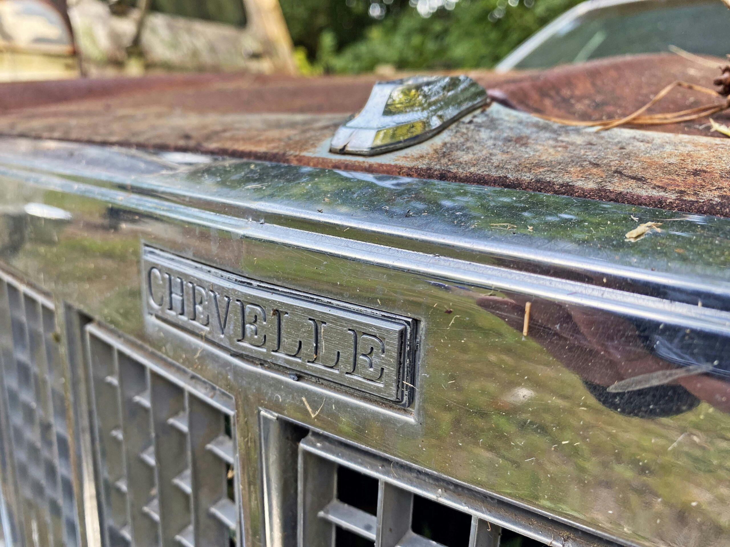Chevrolet Chevelle grille junkyard chrome detail