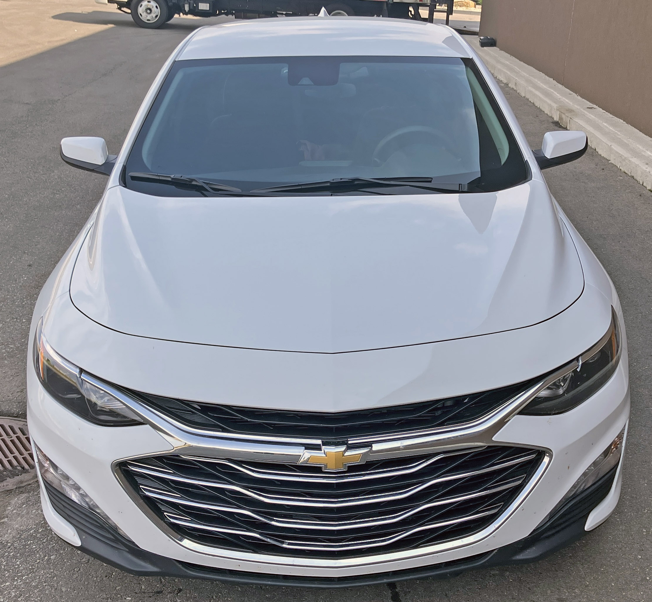 Vellum Venom: 2023 Chevrolet Malibu 1LT - Hagerty Media