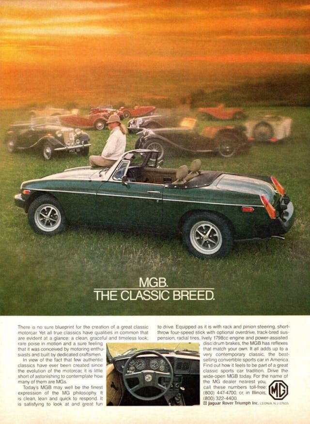 MGB Classic breed ad spread