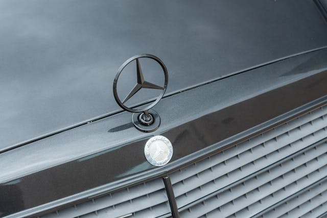 AMG-300-TE-Wagon star emblem