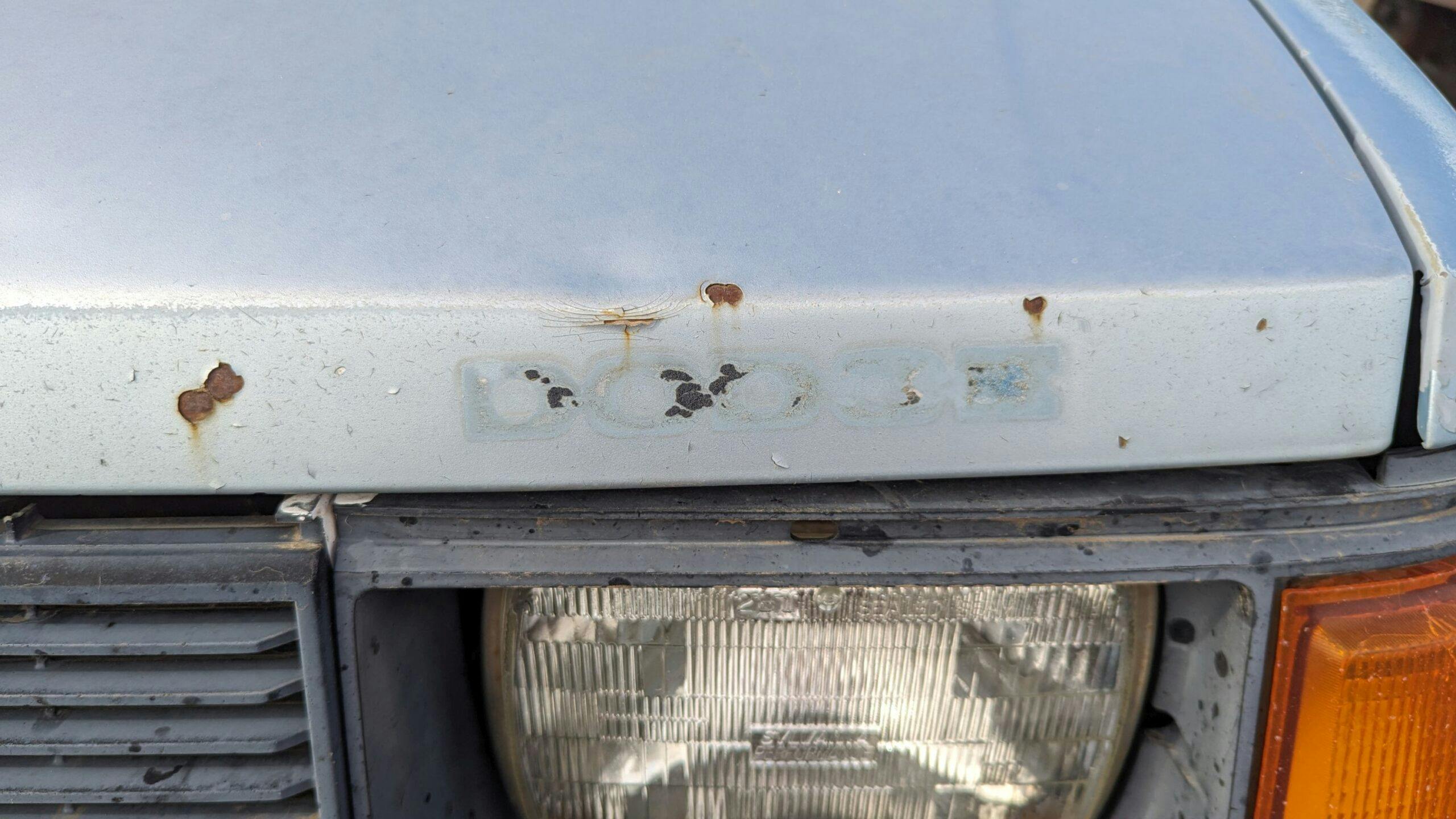 1988 Plymouth Horizon America hood patina