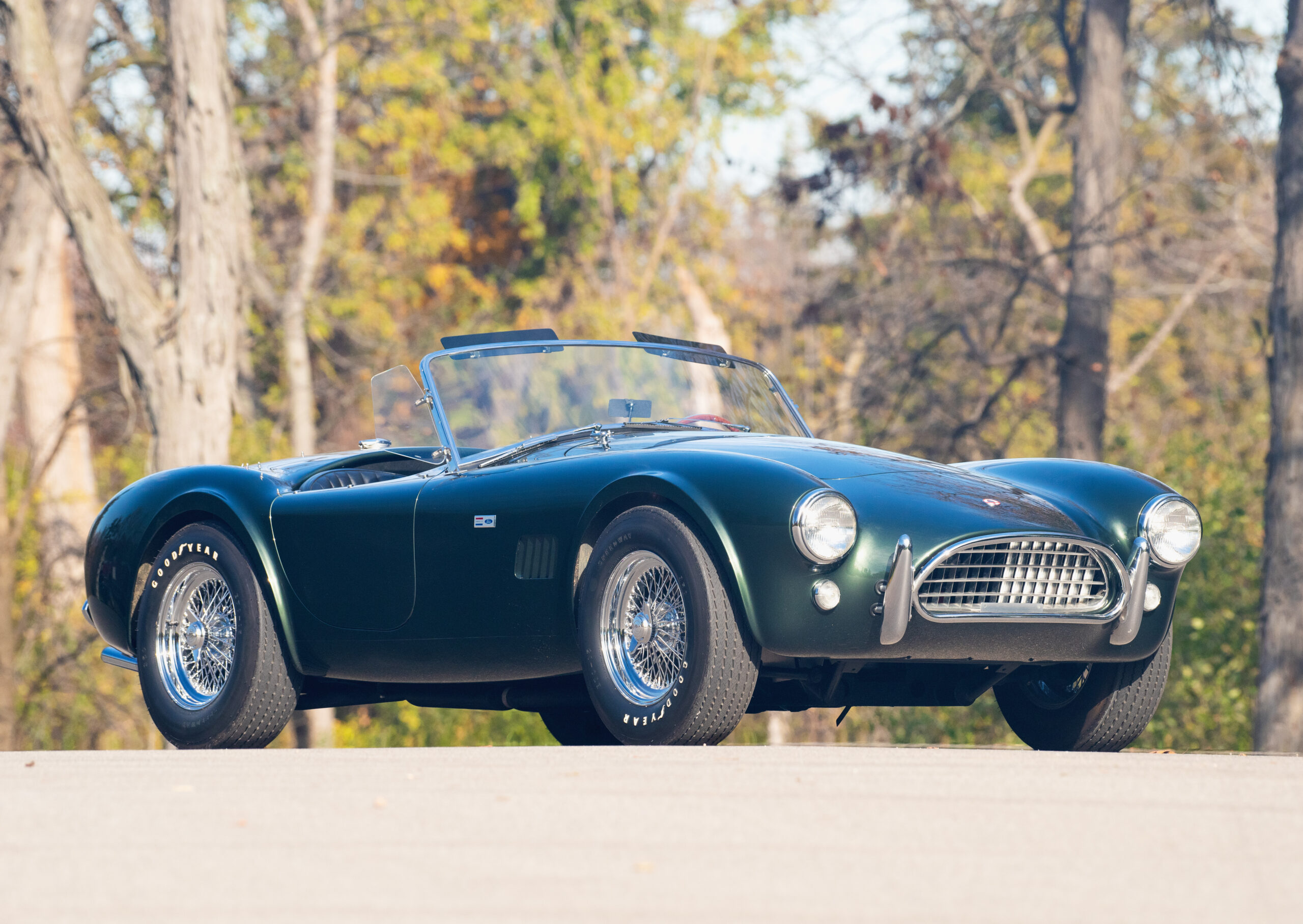 Wathen-cobra6-scaled.jpg?auto=