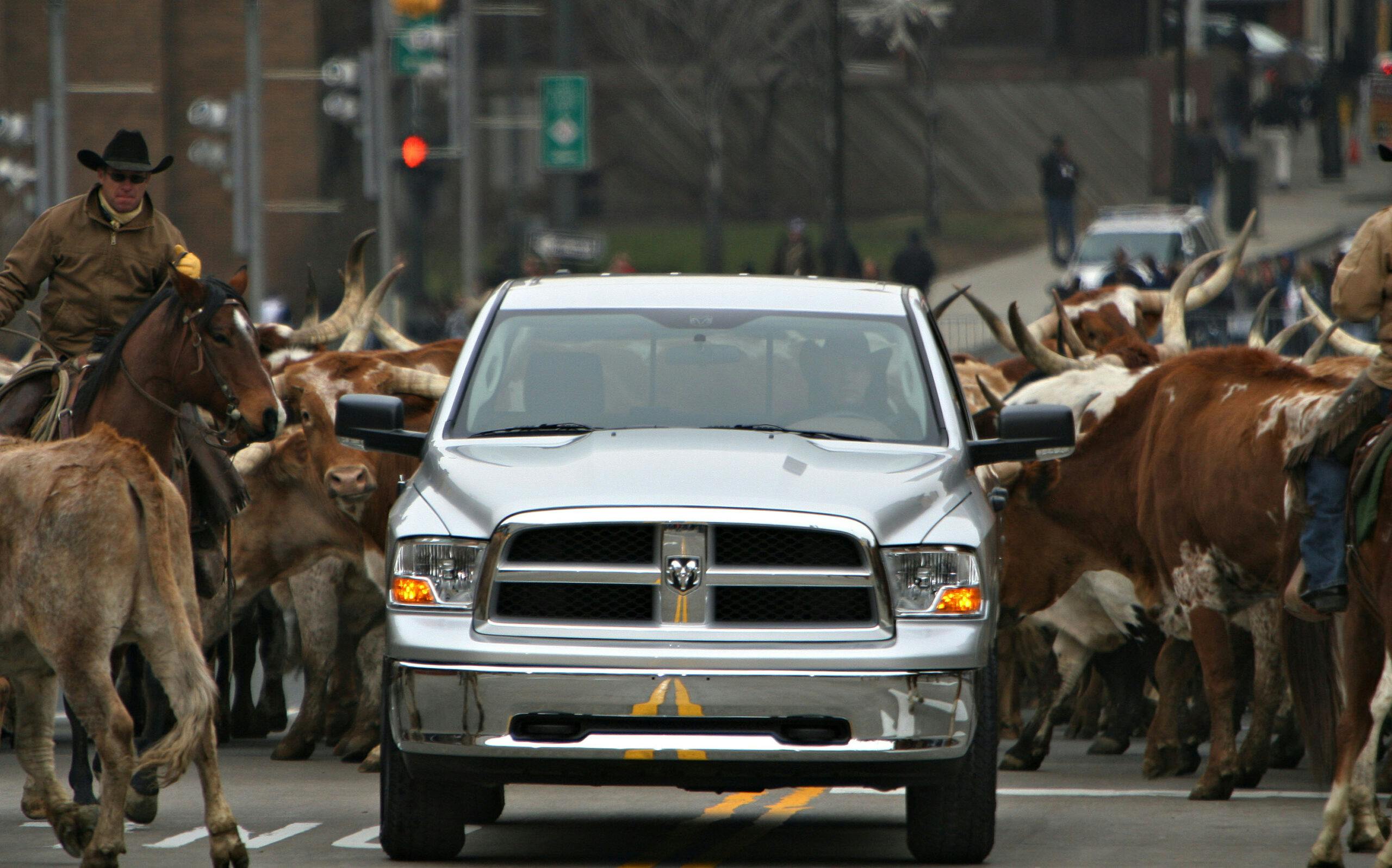2008 Dodge Ram pickup longhorn cattle detroit auto show debut