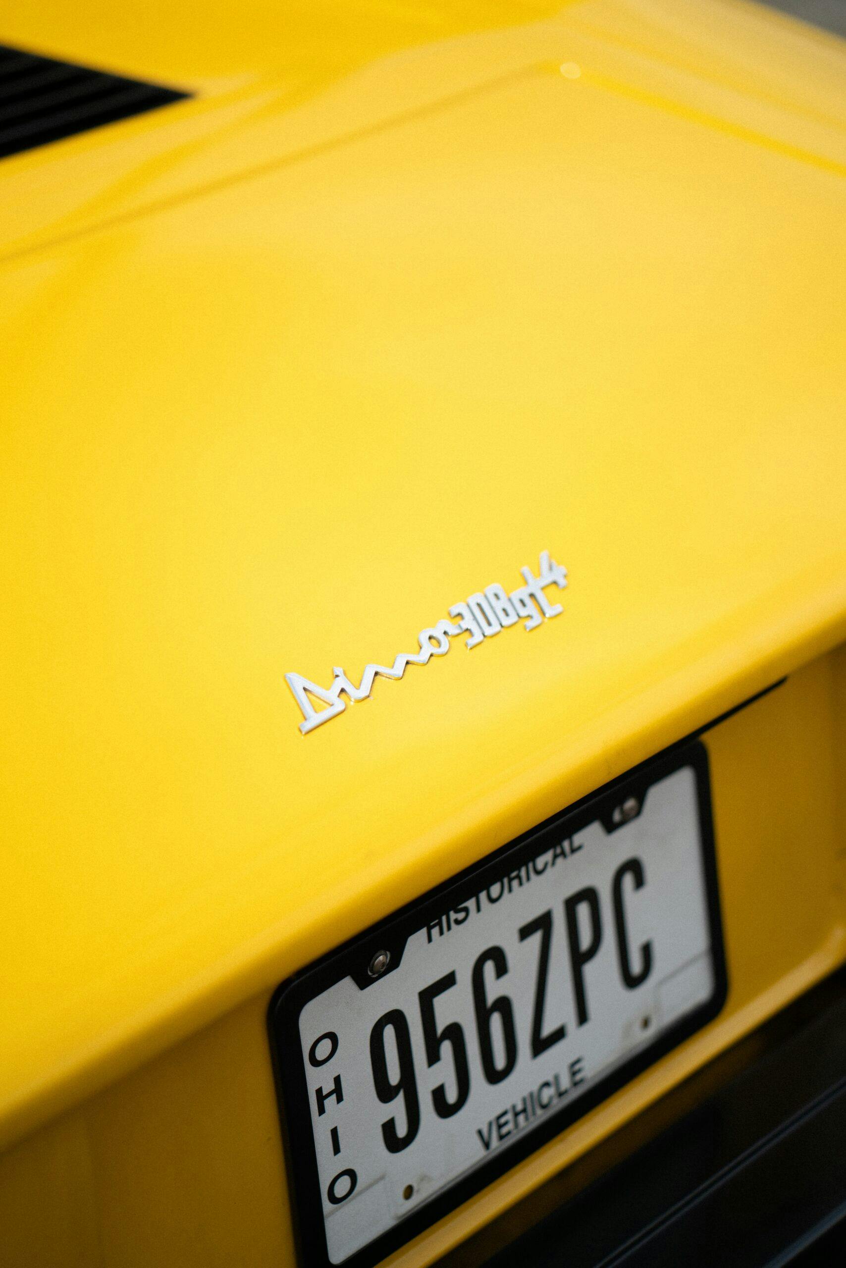 1975 Ferrari Dino 308 GT4 rear badge vertical