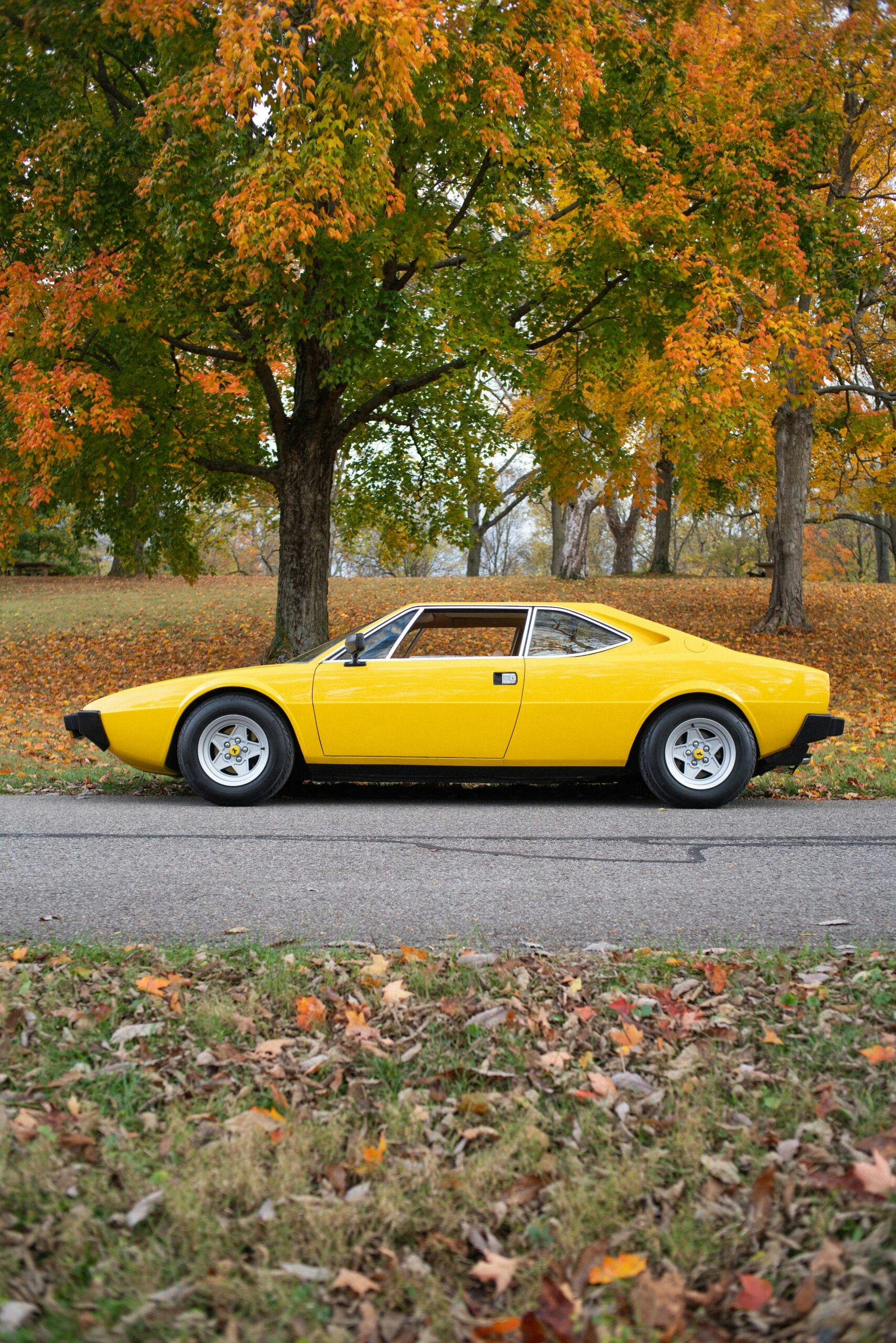 1975 Ferrari Dino 308 GT4 side profile vertical