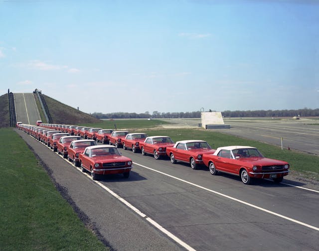 Ford Mustang convertibles lined up