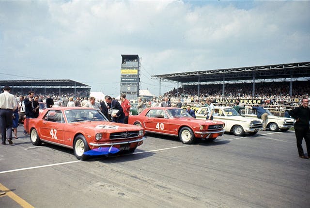 Alan Mann Racing Ford Mustangs on the grid