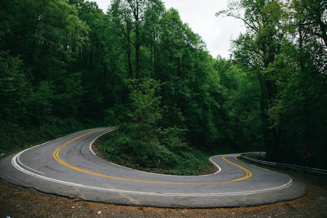 North Carolina Curve Road