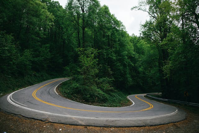 North Carolina Curve Road