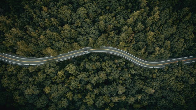 New york curving forest road aerial