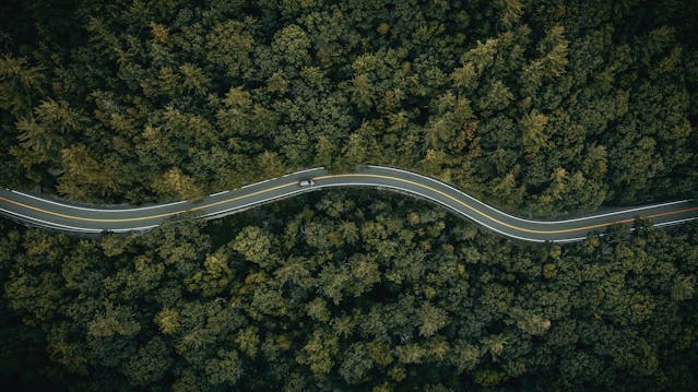 New york curving forest road aerial