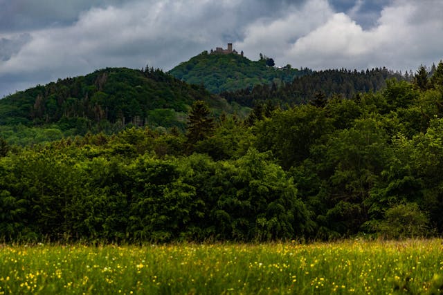 2024 Nürburgring 24 Horas Castelo na Colina