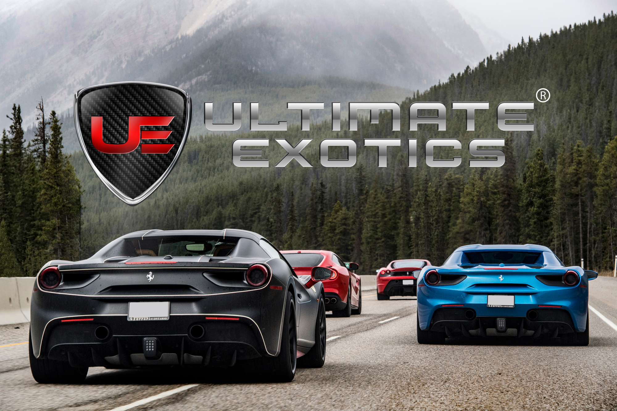 Check Out These Exclusive Deals Celebrating HDC Days! - Hagerty Media