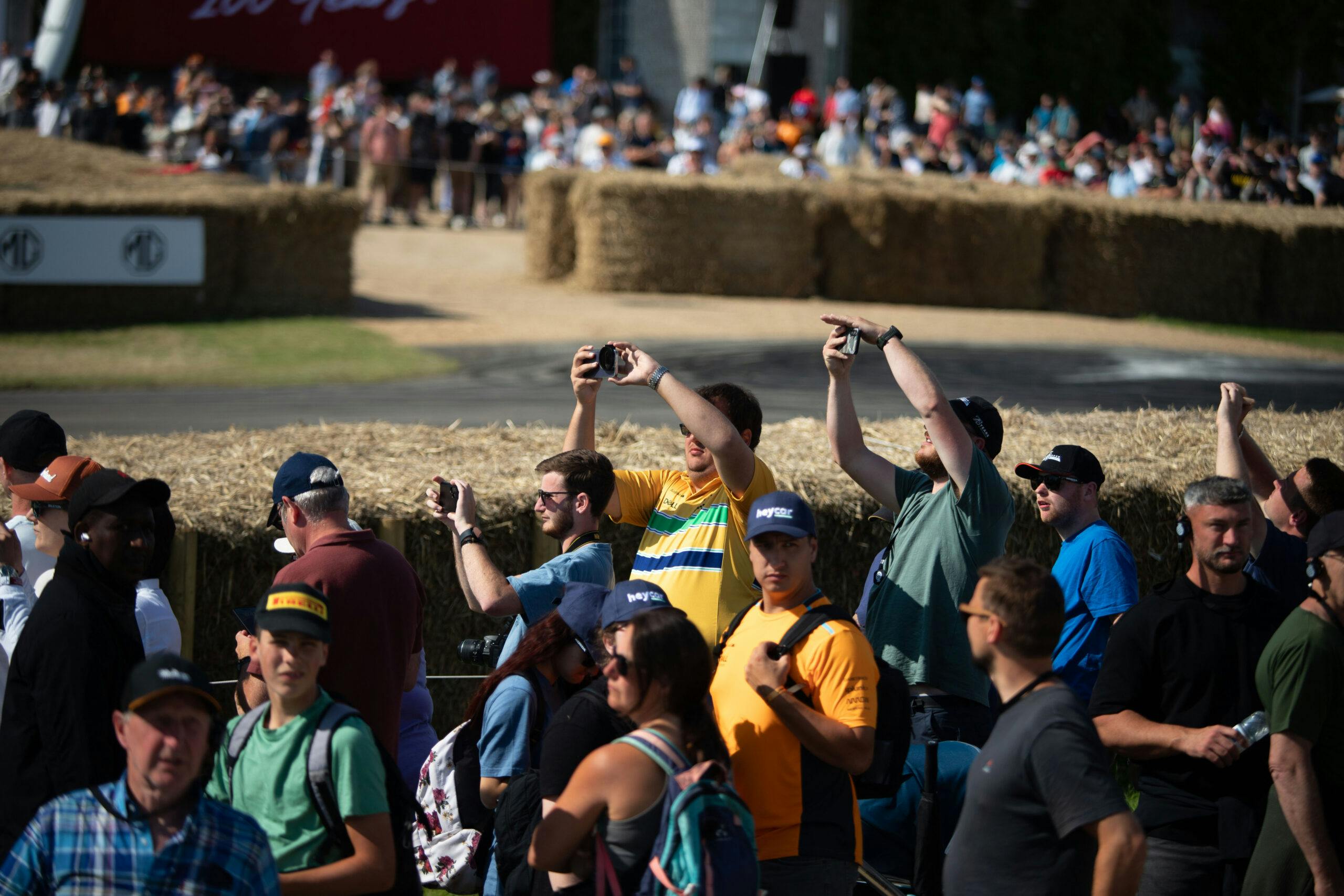 Crowd-2-Goodwood