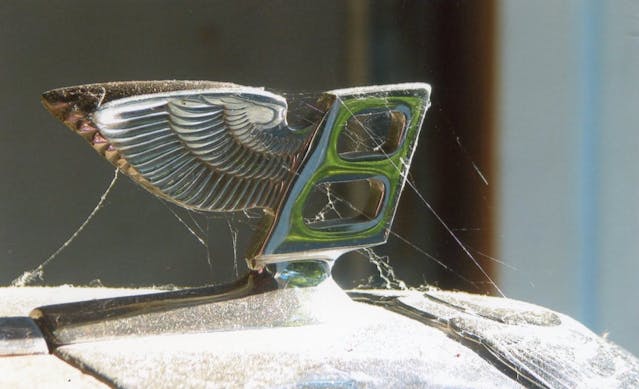 Bentley logo cobwebs