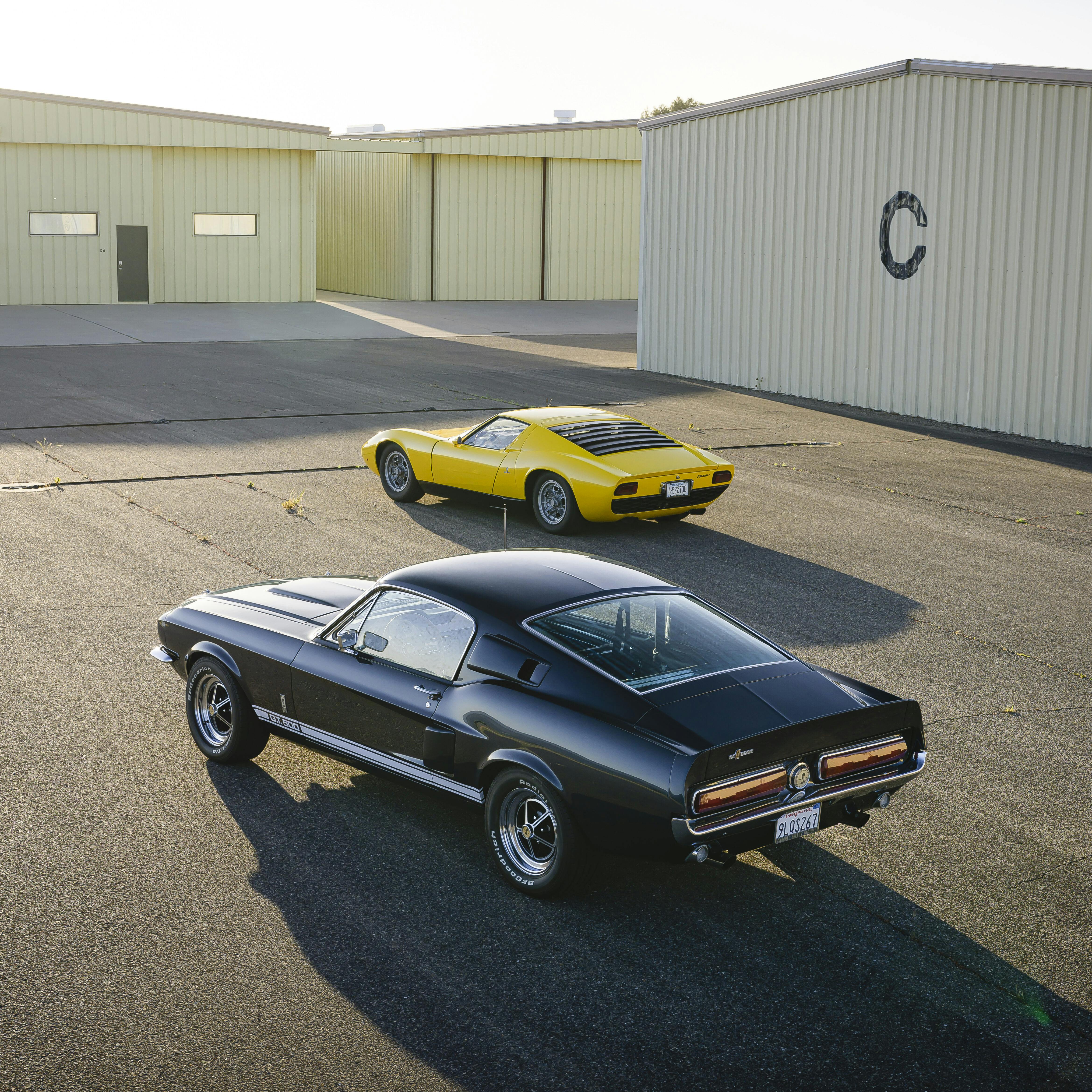 Miura Shelby group vertical