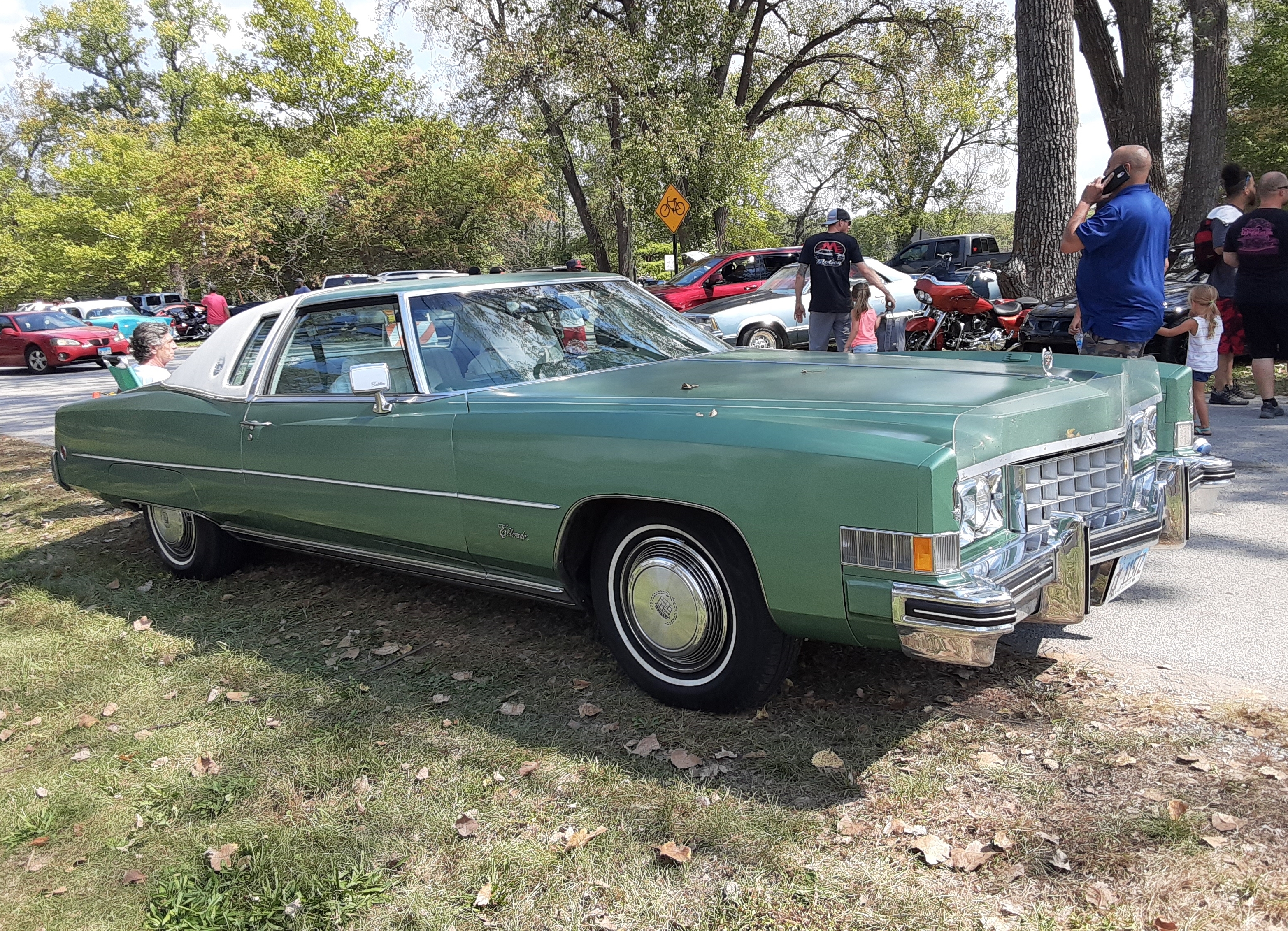 1973 Cadillac Eldorado: Sumptuous in Sage - Hagerty Media