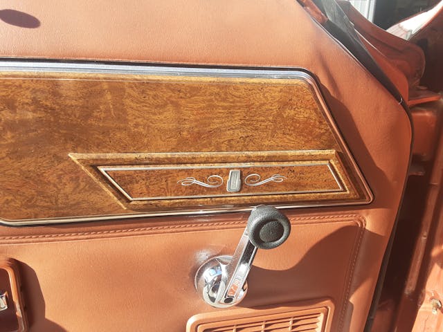 1981 AMC Concord DL door panel detail