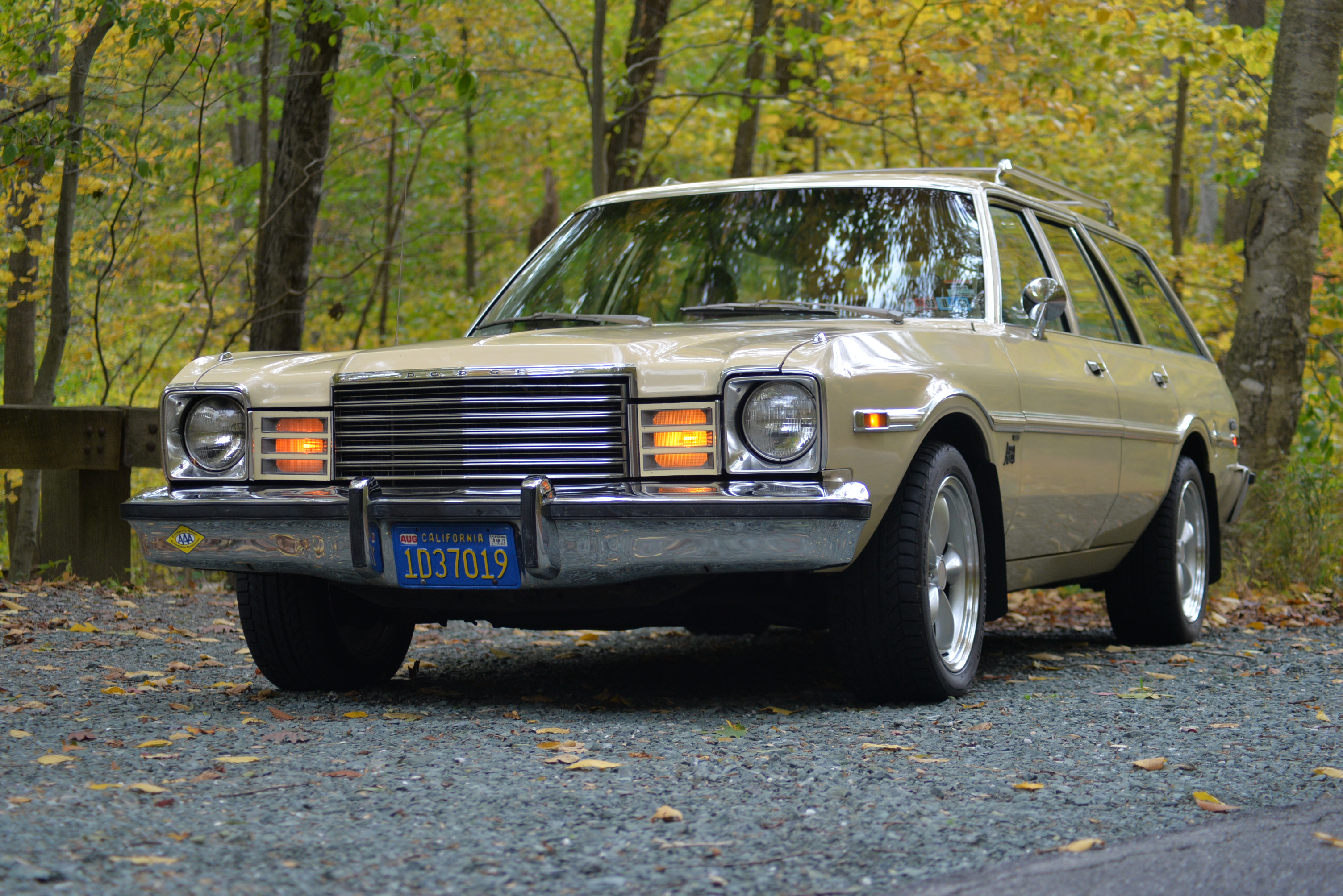 Once I Found My 1979 Dodge Aspen Special Edition, I Drove It Everywhere ...
