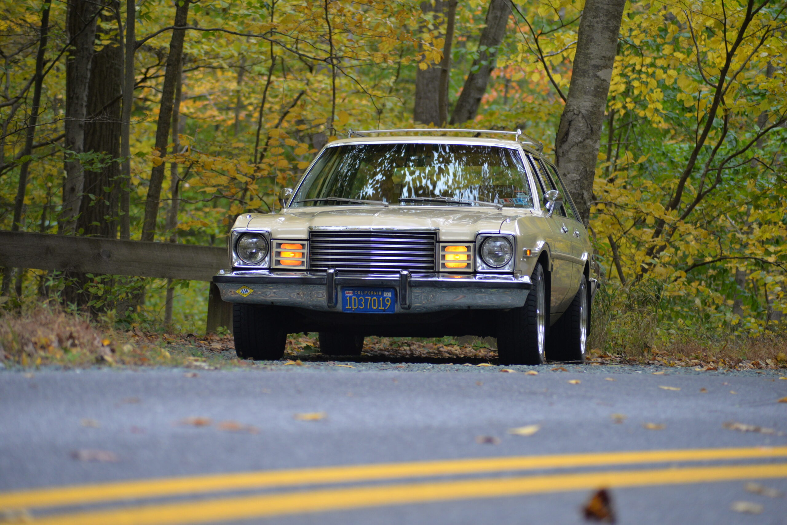 Once I Found My 1979 Dodge Aspen Special Edition, I Drove It Everywhere ...