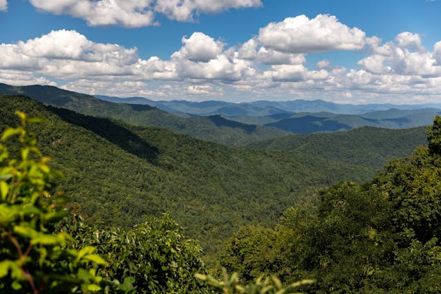 Cherohala Skyway 2025 Hagerty Road of the Year forested hill views