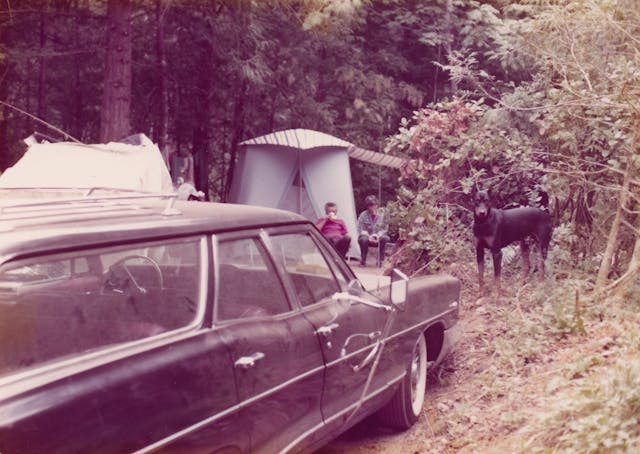 1965 Pontiac Safari Wagon camping Doberman