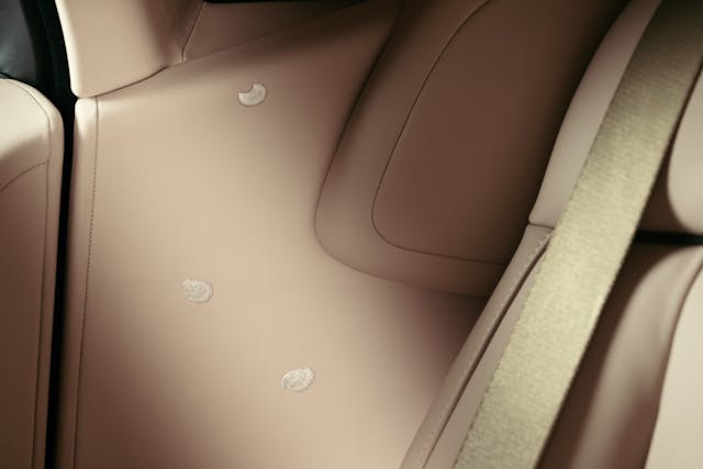 Cherry Blossom Rolls-Royce detail