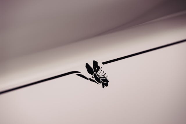 Cherry Blossom Rolls-Royce paint detail