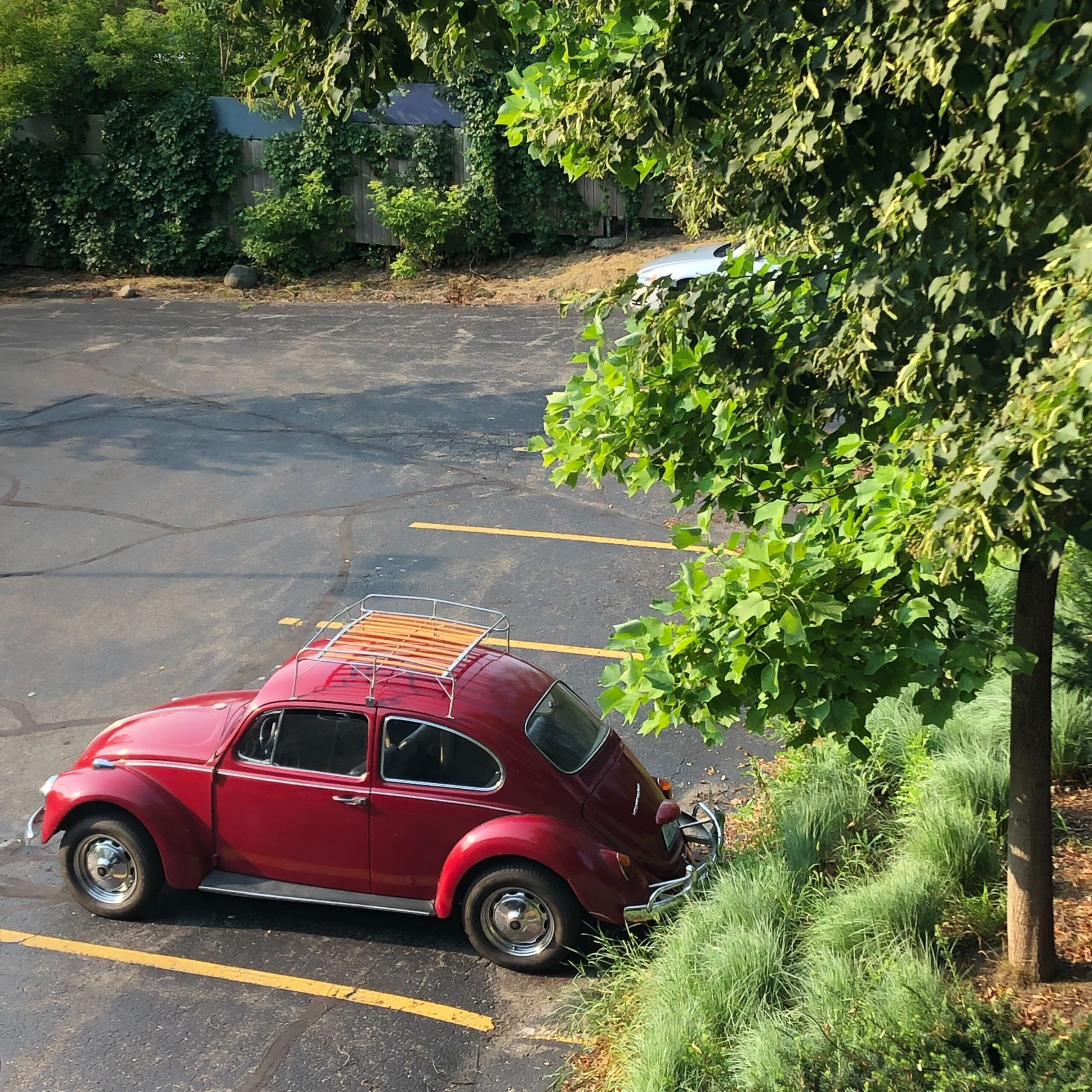 Our Most Memorable Automotive Mistakes - Hagerty Media