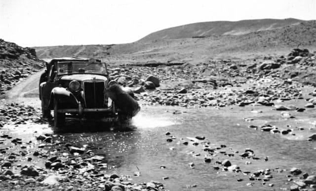 MG Rio Road Trip Car in stream