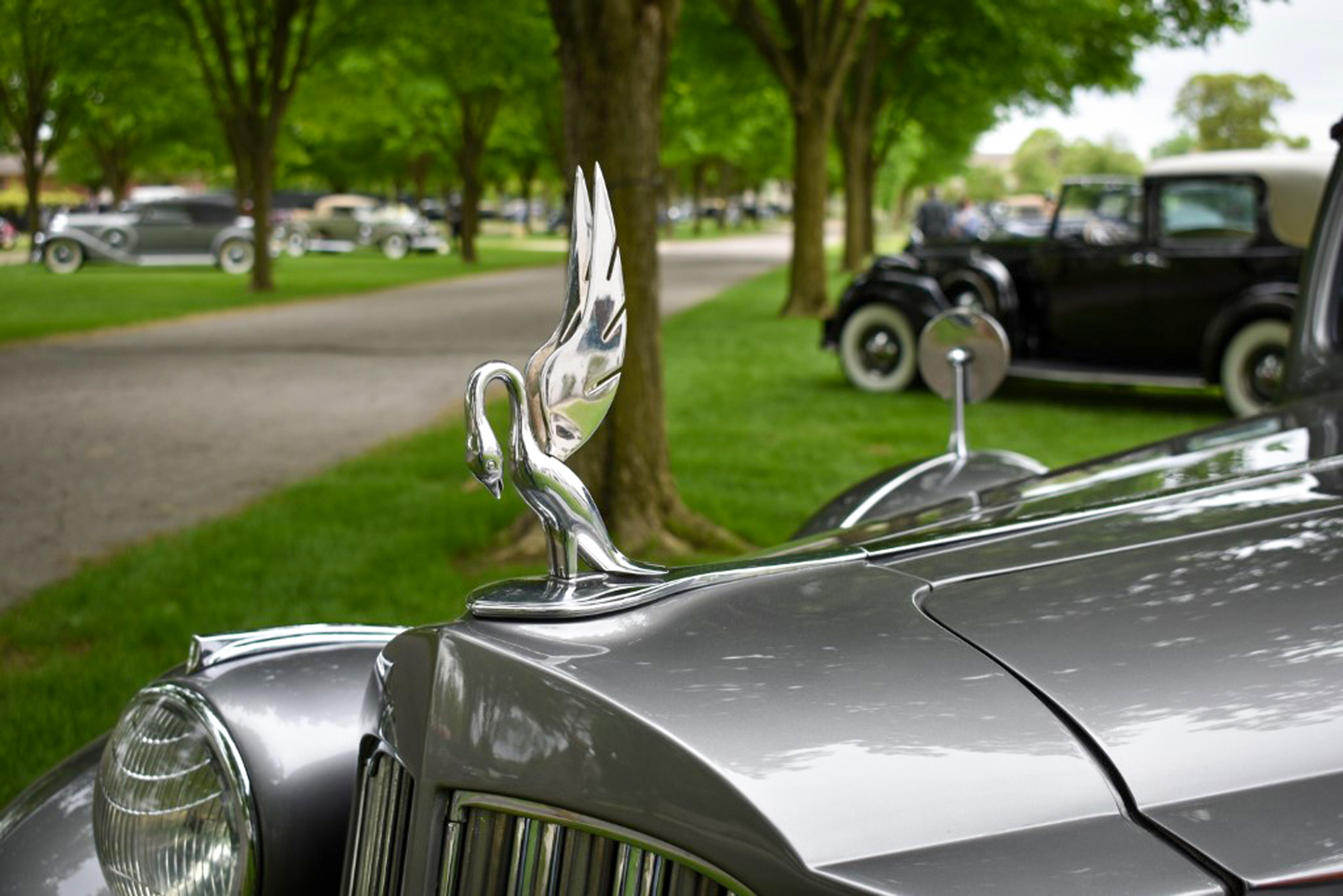 カーズ ポールバルデス Calling All Twelves: V-12 Packards Return to the Packard Proving