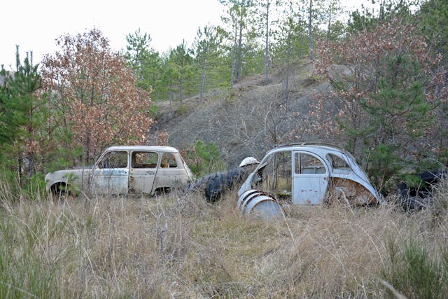 Abandoned Renault 4 and Citroen 2CV