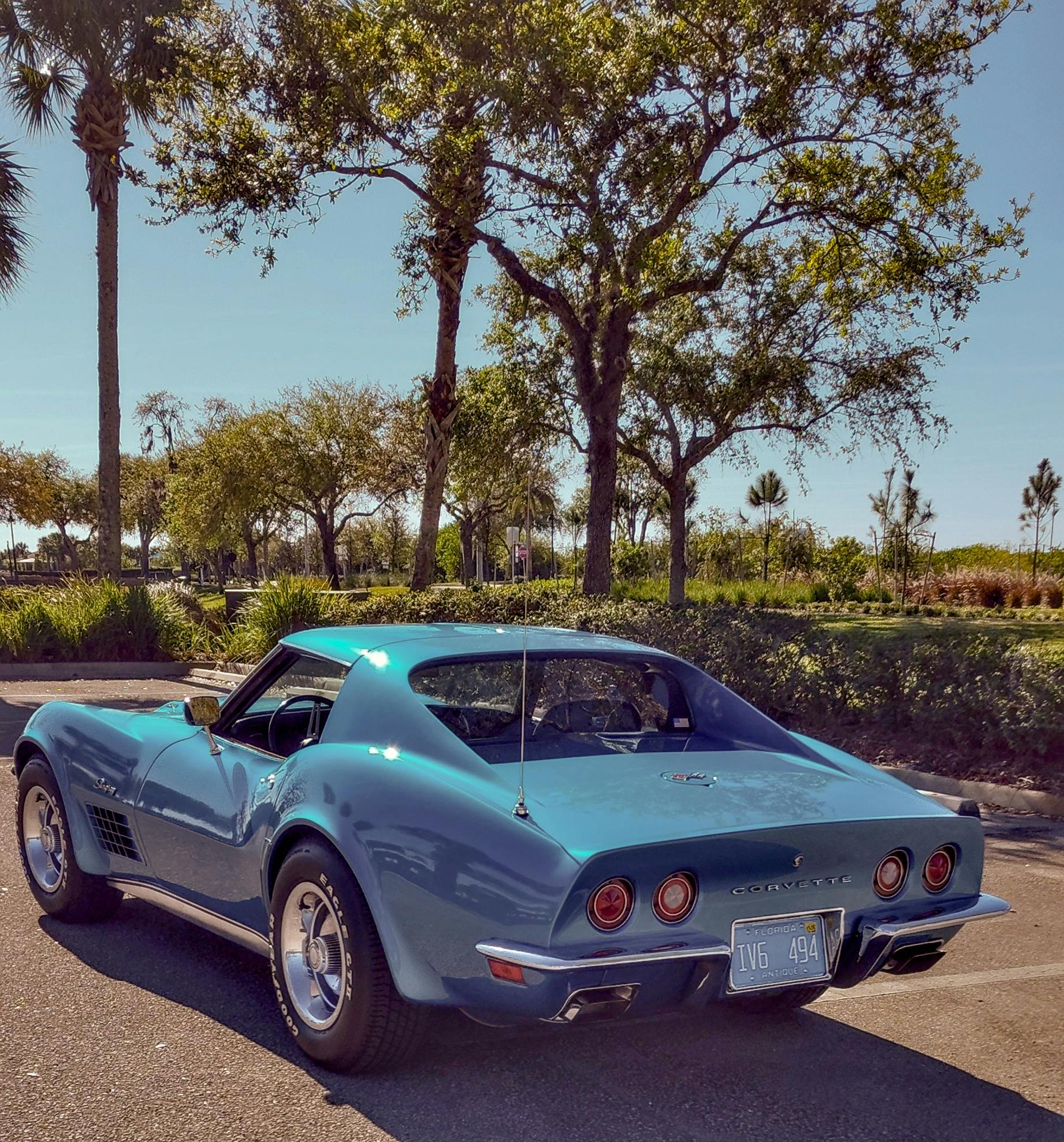 Kachnik LS7 Vette left rear