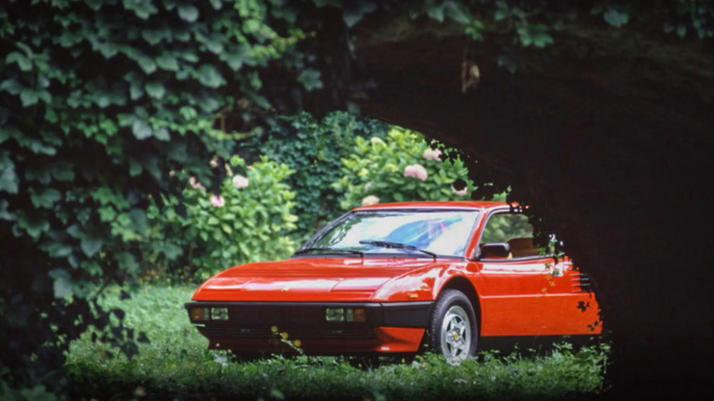 Bougie on a Budget: 5 Cheap Exotics to Buy Now - Hagerty Media